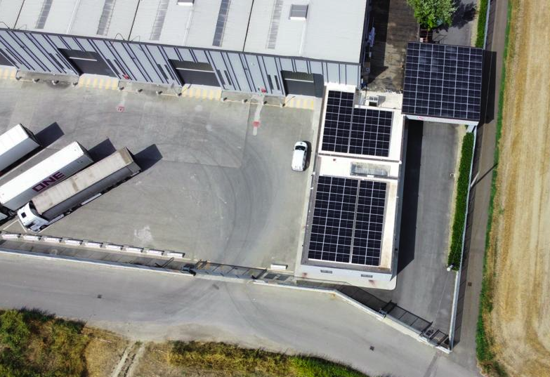 Fioravanti distribution