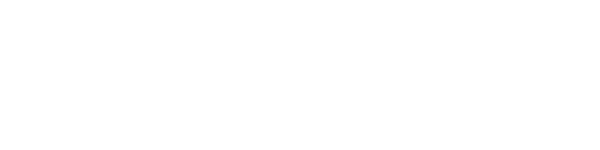 Fioravanti logo
